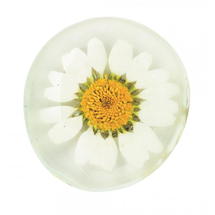 FLEUR