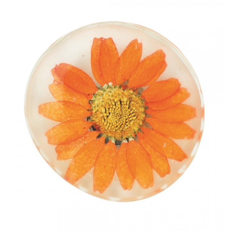 FLEUR