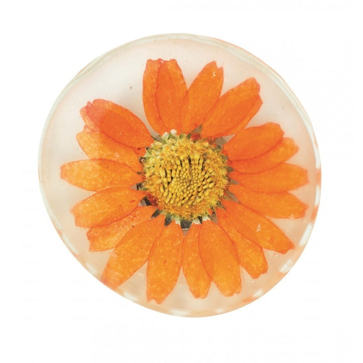 FLEUR