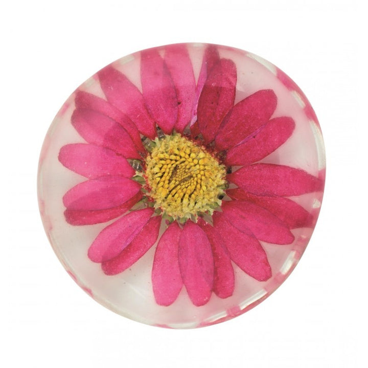FLEUR