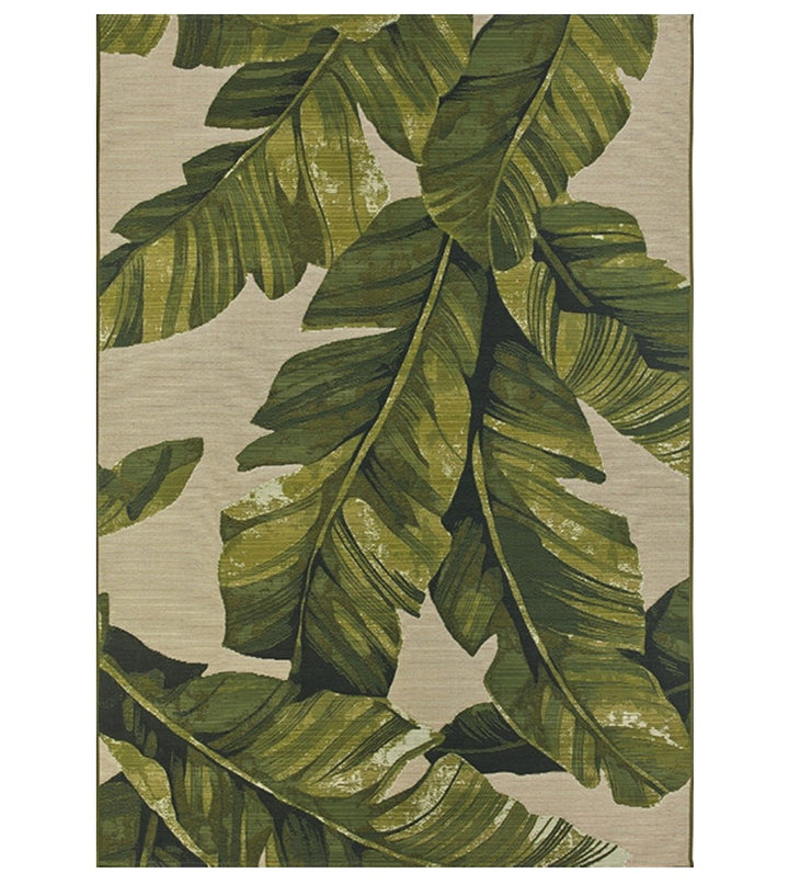 AMAZZONIA 609X