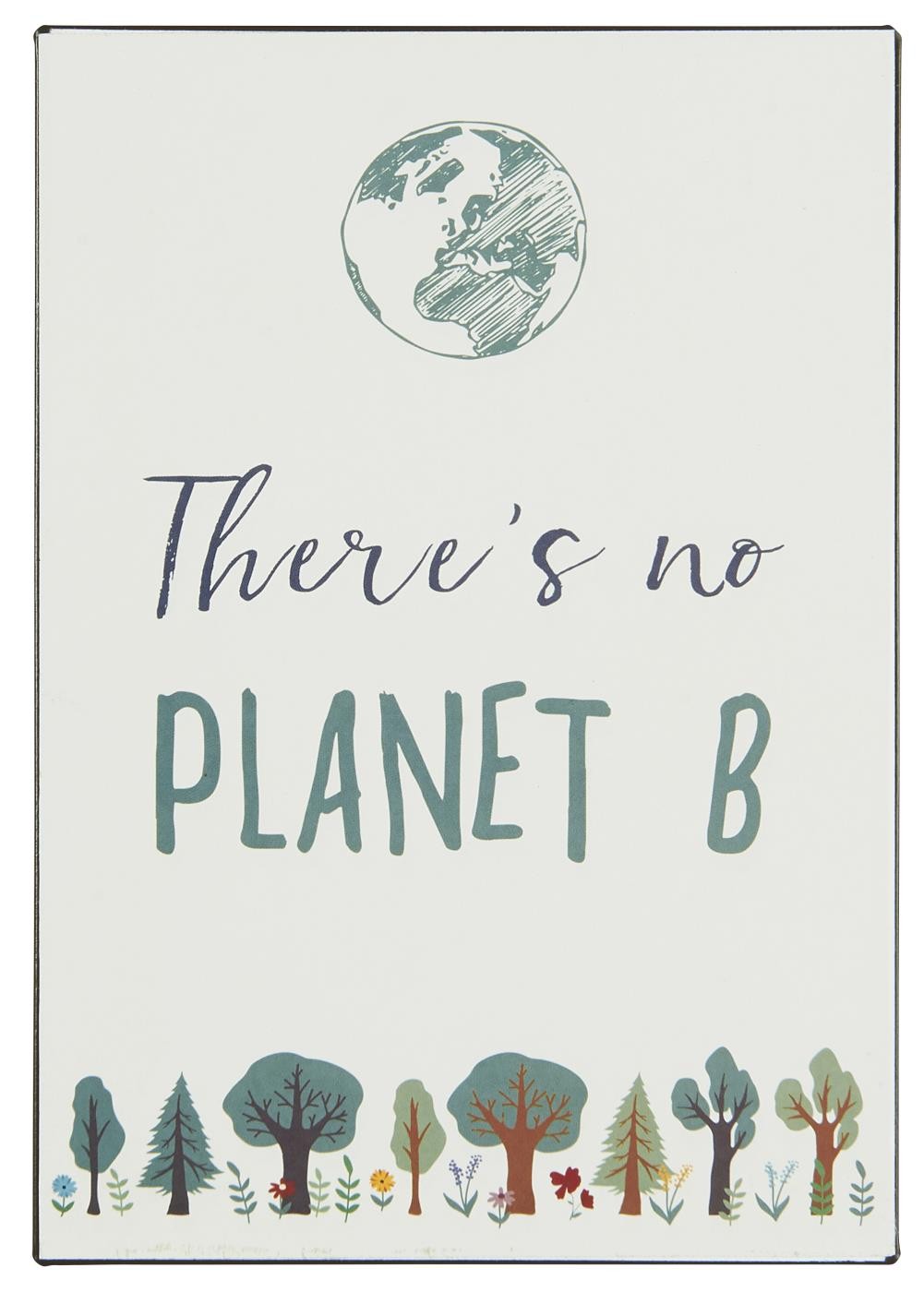 PLANET B